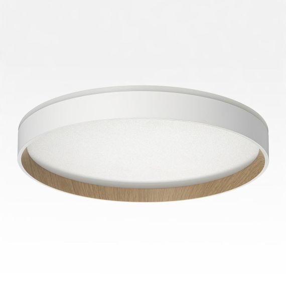 Потолочный светодиодный светильник Citilux Etalon CL750320R