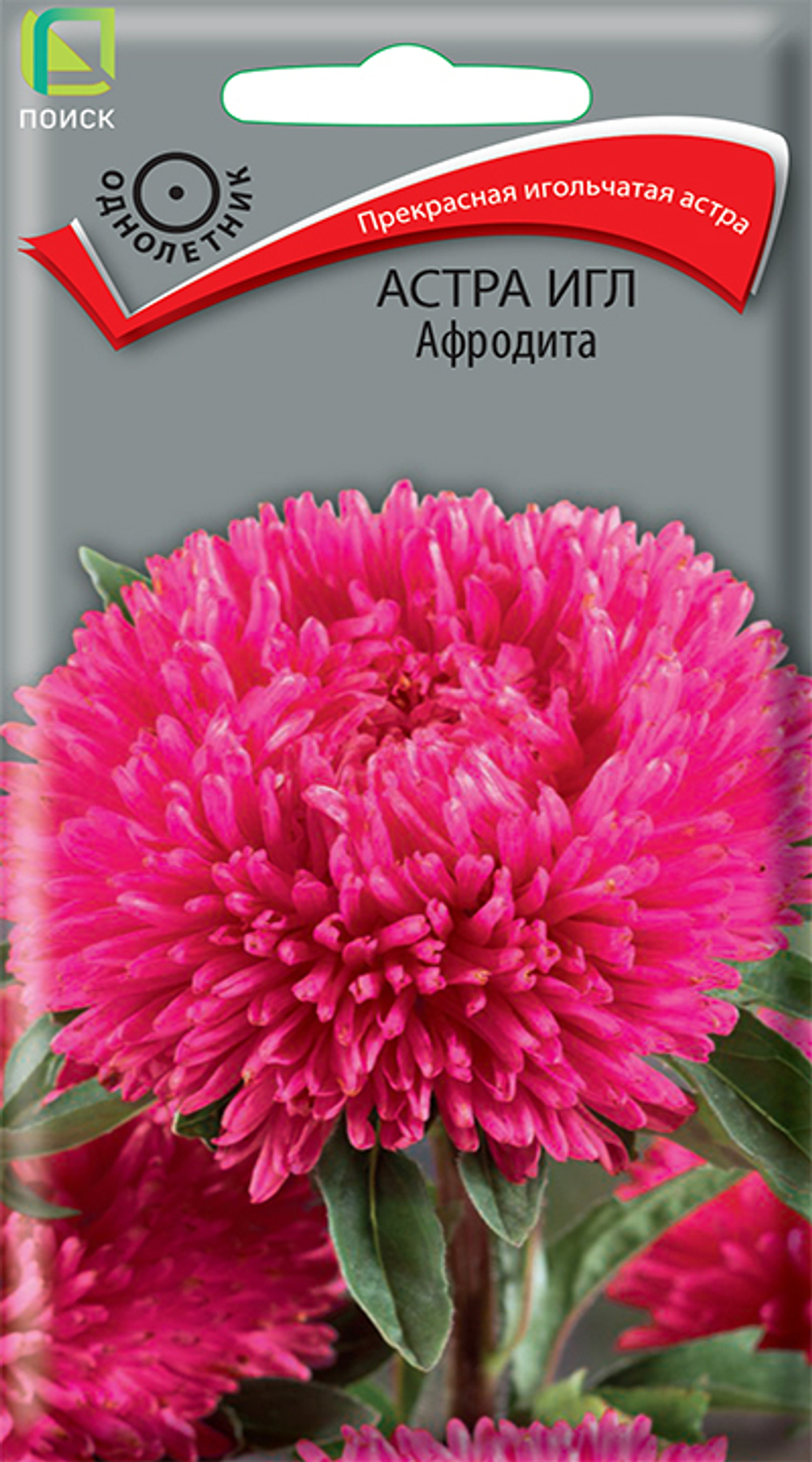 Астра Игл Афродита