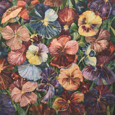 Анютины глазки 2