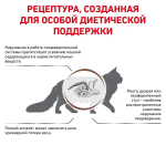 Royal Canin корм сухой для взрослых кошек при нарушениях пищеварения