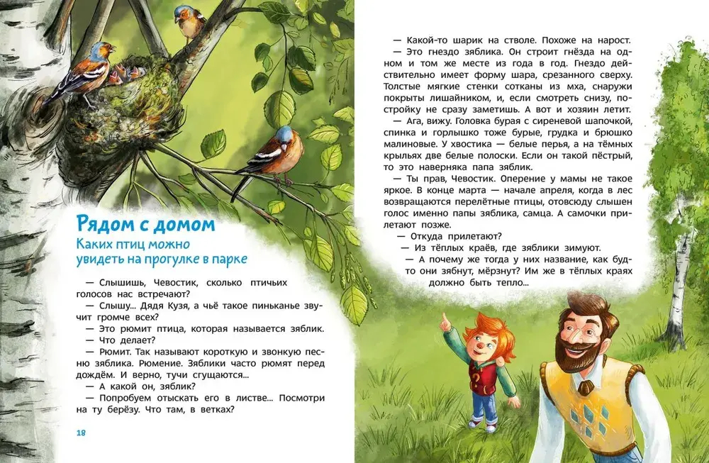 Птицы. Детская энциклопедия (Чевостик)