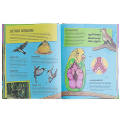 Энциклопедия животных: на суше, под водой и в воздухе