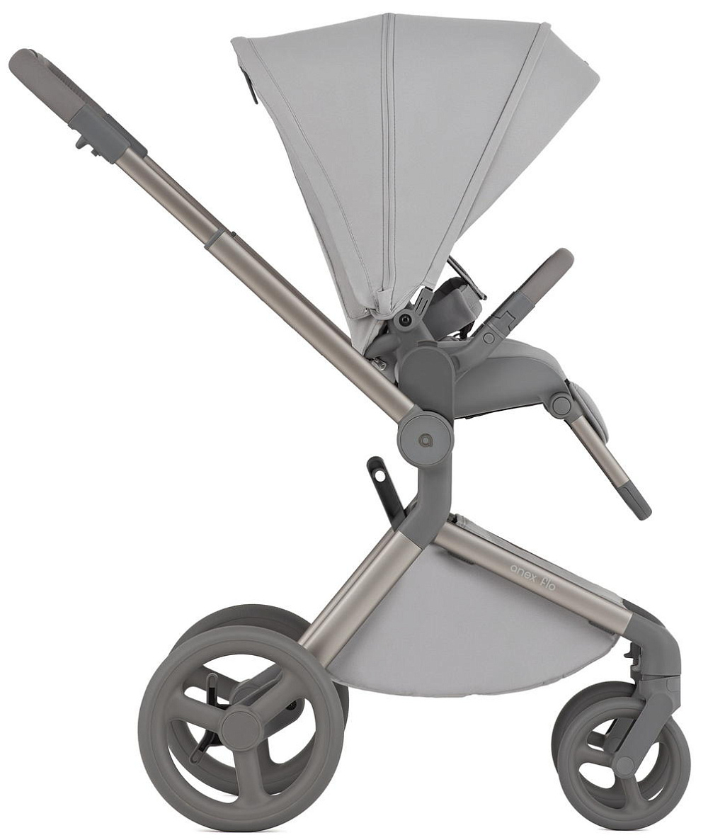 Детская коляска Anex Flo 2 в 1 Frossy
