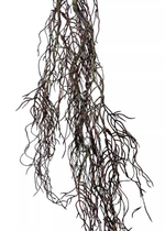 Корень 120 см