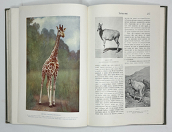 Корниш Чарльз Д. Жизнь животных. В 2-х т. В 2-х книгах. Москва. Издание Кнебель. 1909г.