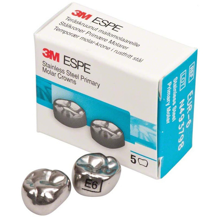 Второй верхний правый моляр, размер 6 (E-UR-6)