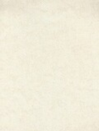 Ламинированный гипсокартон Forum 2569