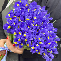 Букет синих ирисов