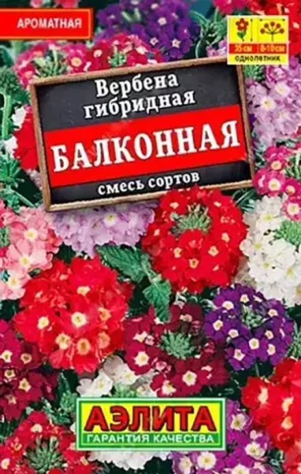 Вербена Балконная, смесь сортов Лидер 40шт Аэлита