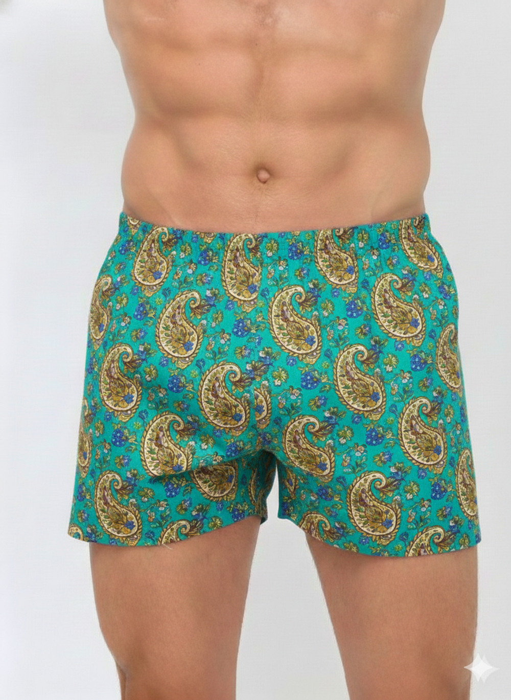 Трусы семейные ситец Шуя