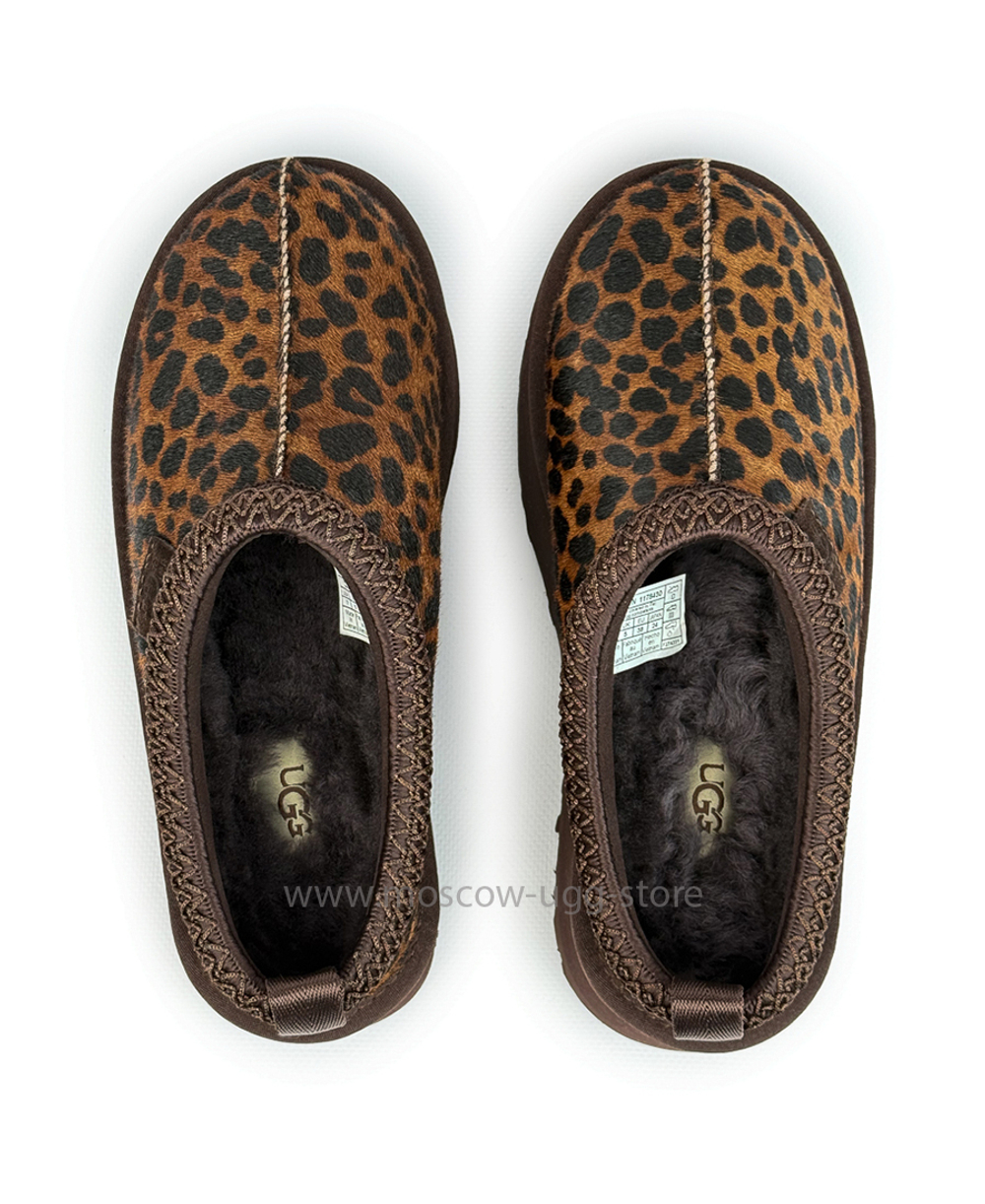 TAZZ - Caspian Burnt Cedar