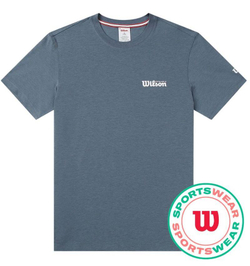 Мужская теннисная футболка Wilson Easy Street - небесный