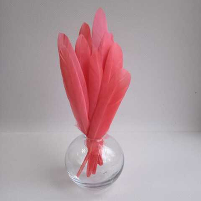 Перья утки пион 15 шт.