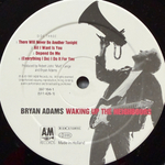 Bryan Adams - Waking Up The Neighbours 2LP (Голландия 1991г.)