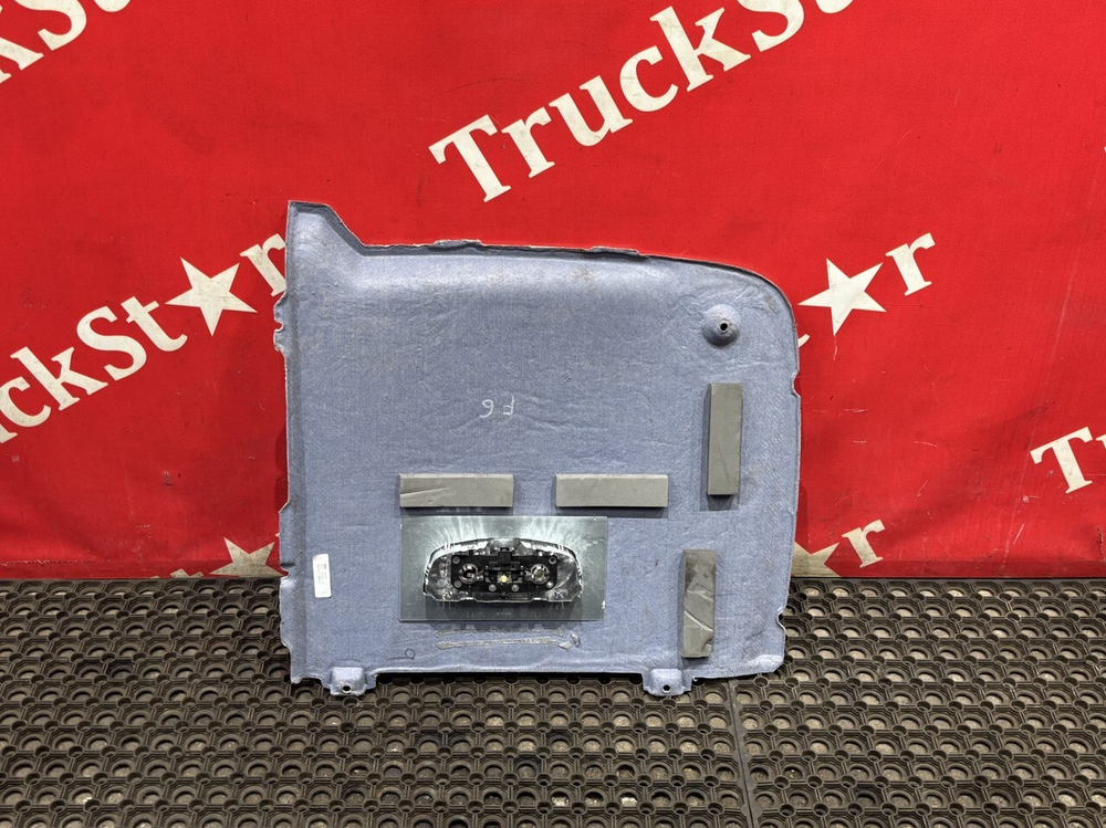 Обшивка потолка левая 2024г