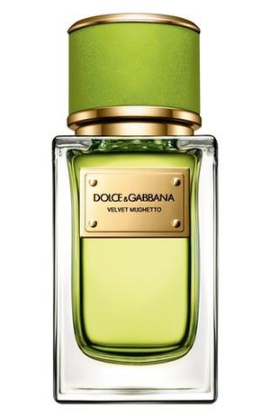 Dolce and Gabbana Velvet Mughetto