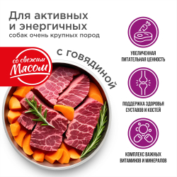 Корм сухой для взрослых собак очень крупных пород, премиум полнорационный комплекс, для активных и энергичных собак, с говядиной, 12 кг, QUATTRO