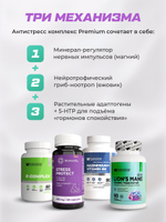 Антистресс Комплекс SoulWay Магний B6 + BQ STRESS PROTECT + SoulWay В-комплекс + SoulWay Ежовик