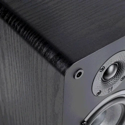 Radiotehnika S-10N Black Ash полочная профессиональная акустическая система (пара)