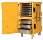 Термобокс AVATHERM 600x2 DOUBLE зеленый