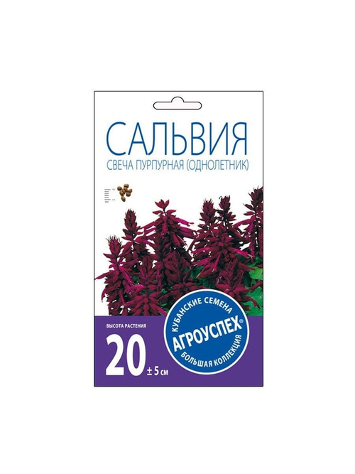 СЕМЕНА САЛЬВИЯ СВЕЧА ПУРПУРНАЯ F1 АГРОУСПЕХ
