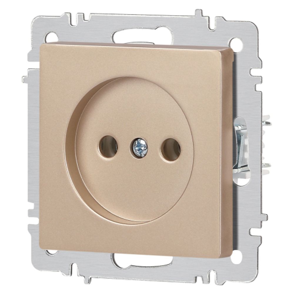 Розетка Intro Accent 6-201-04 2P 16А-250В IP20 СУ AL/CU шампань | Intro