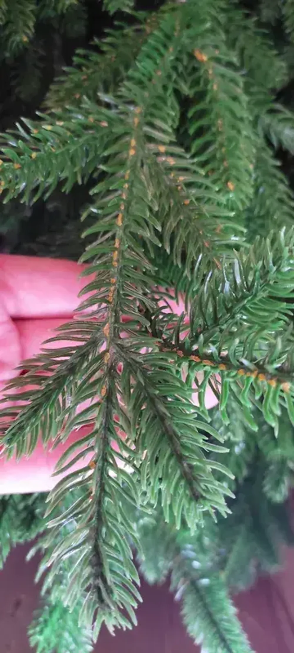 Ель искусственная «Вега» (Литая хвоя) 250 см / 2,5 м