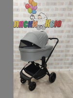 Коляска модульная Rant Basic Energy Grey 2024