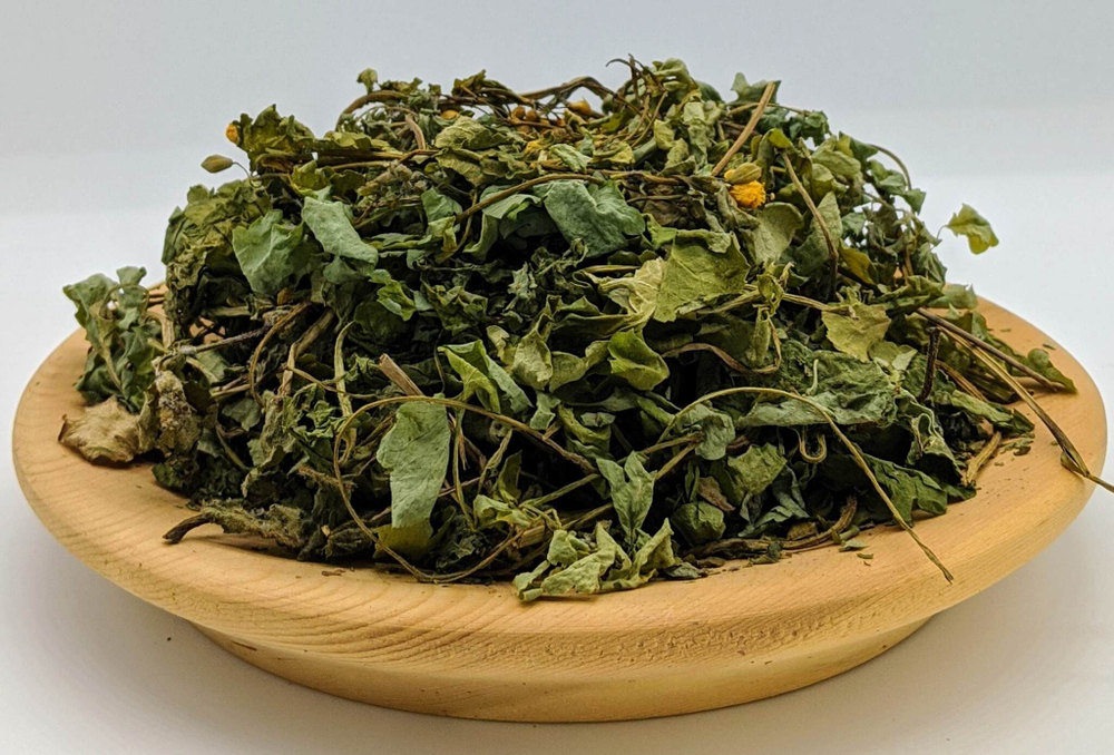 Чистотел большой (лист и цвет)