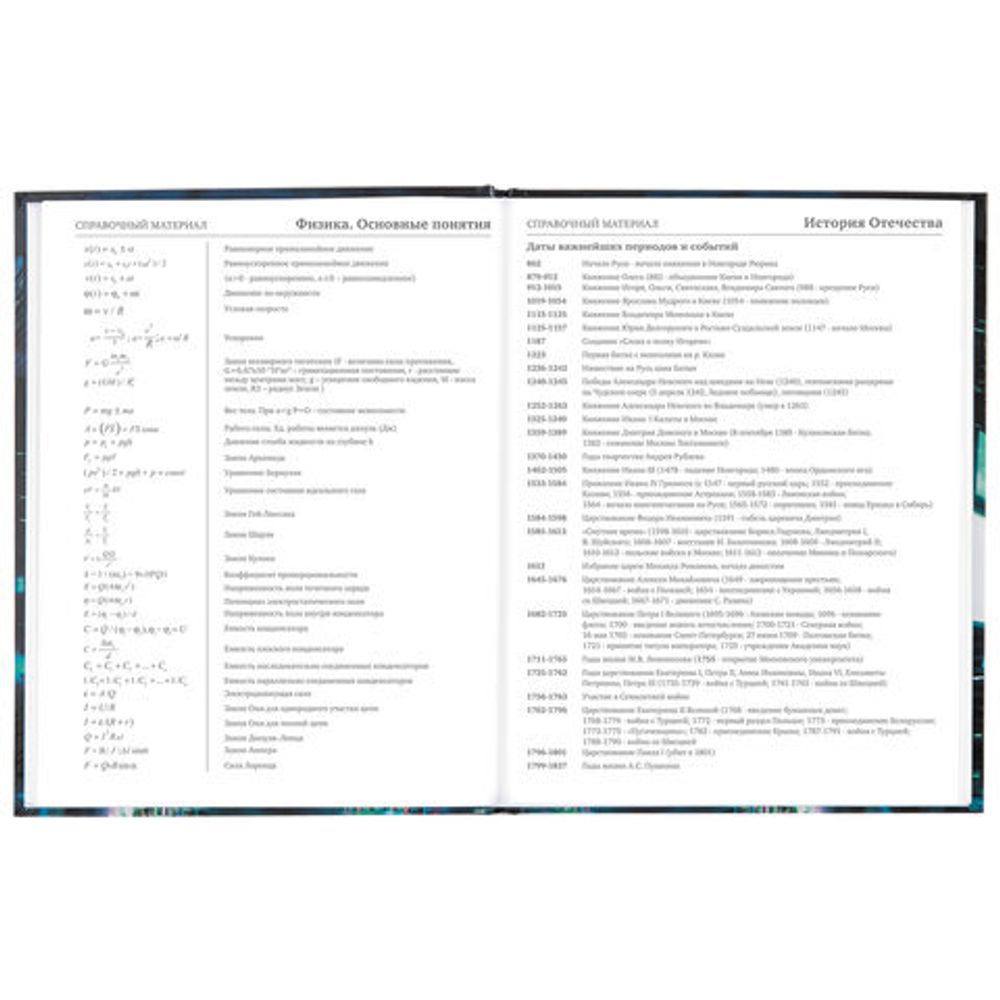 Дневник 5-11 класс 48 л., твердый, BRAUBERG, глянцевая ламинация, с подсказом, "Future", 106406