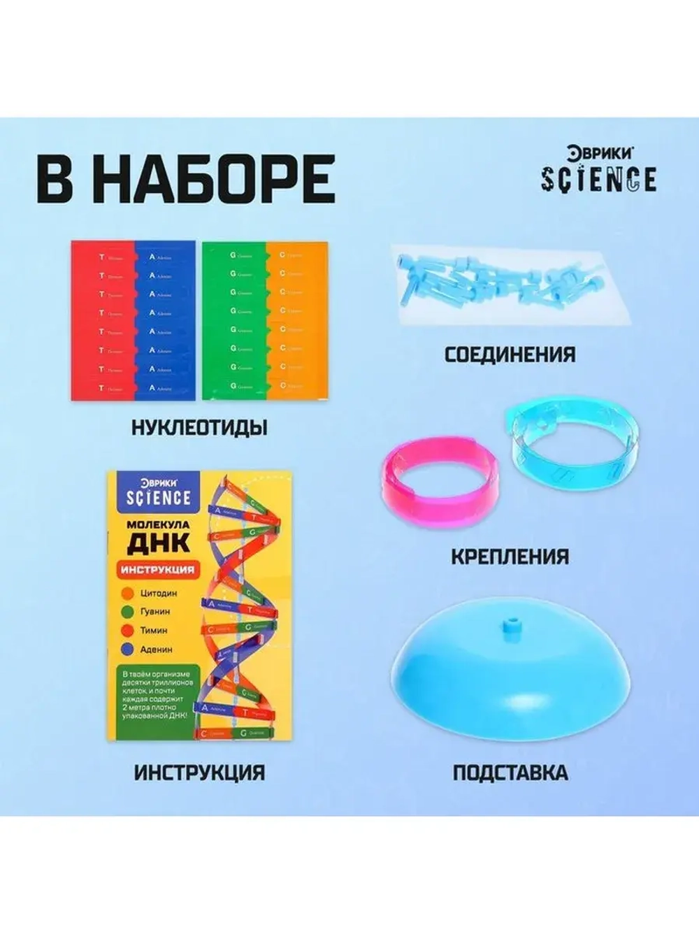 Набор для опытов «Молекула ДНК»