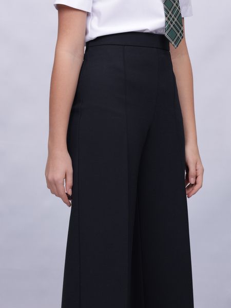 Школьные брюки Агат (ШФ-2208)