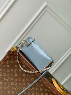 Louis Vuitton Slim Trunk
