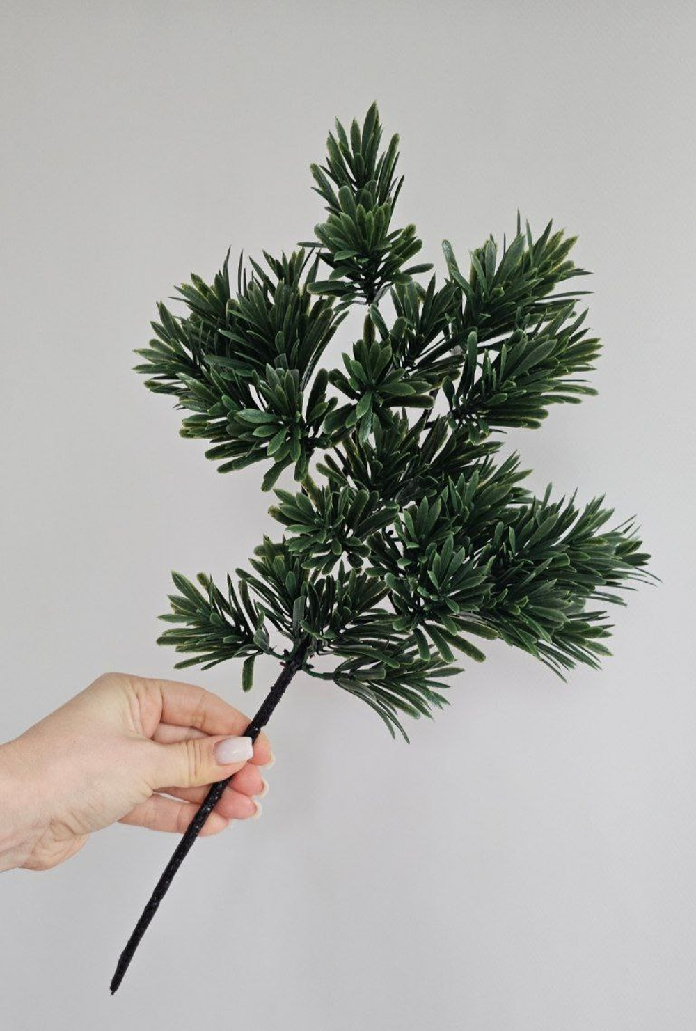 Бонсай подокарпус / Арт 5033