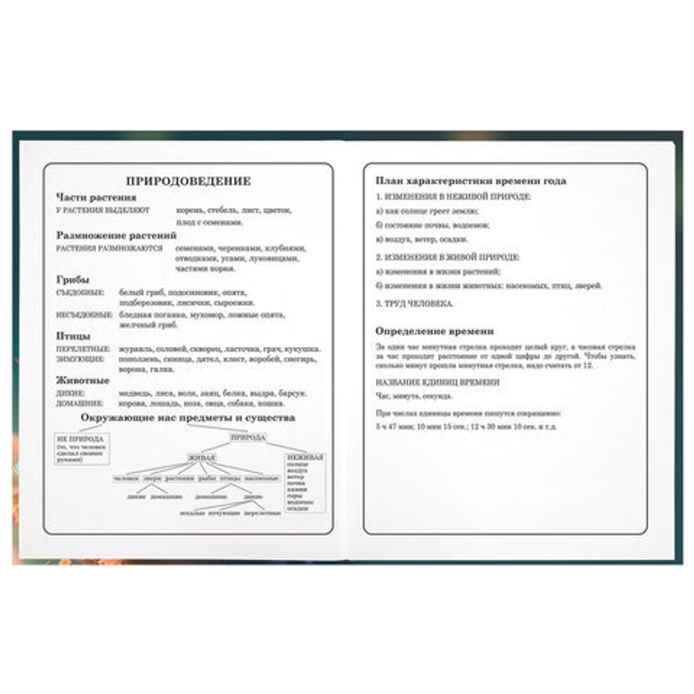 Дневник 1-4 класс 48 л., гибкая обложка, ЮНЛАНДИЯ, выборочный лак, с подсказом, "Медвежонок", 107141