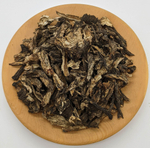 Дягиль лекарственный (корень)