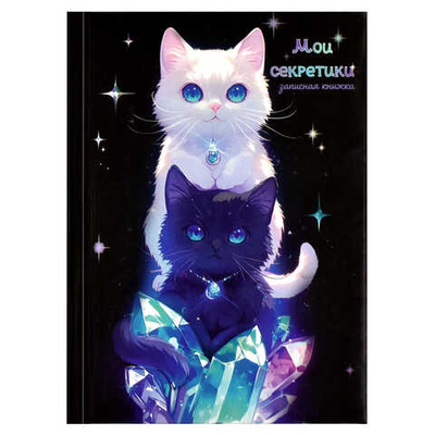 Записная книжка ДВА КОТА  А6, 64 л., твёрдый переплёт с поролоном, полноцветная печать