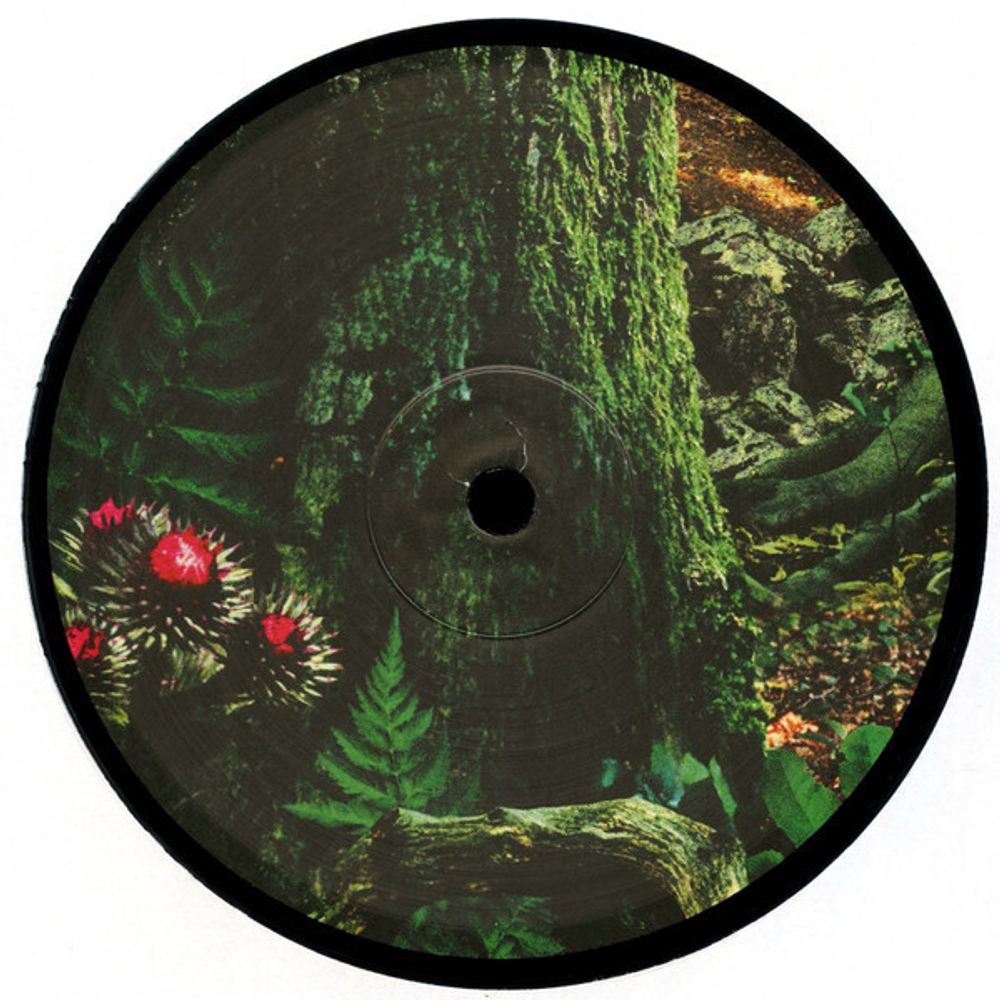 David Sylvian / Manafon (2LP)