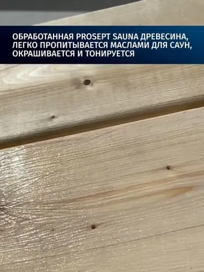 Антисептик для бани и сауны внутри/ обработка дерева для пола, стен, вагонки PROSEPT (Просепт) жидкая пропитка от плесени, грибка и гниения, бесцветная 5 л (арт. 016-5)