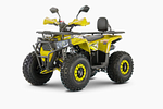 Квадроцикл WELS Trail 125 Pro