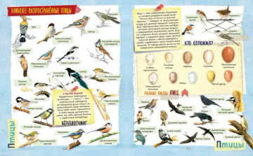 Большой подарок для девочки. Энциклопедия для настоящих девчонок