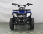 Электроквадроцикл Green Camel Гоби K24 (36V 800W R6 Цепь)