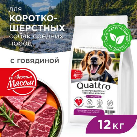Корм сухой для взрослых собак средних пород, премиум полнорационный комплекс, для короткошерстных собак, с говядиной, 12 кг, QUATTRO