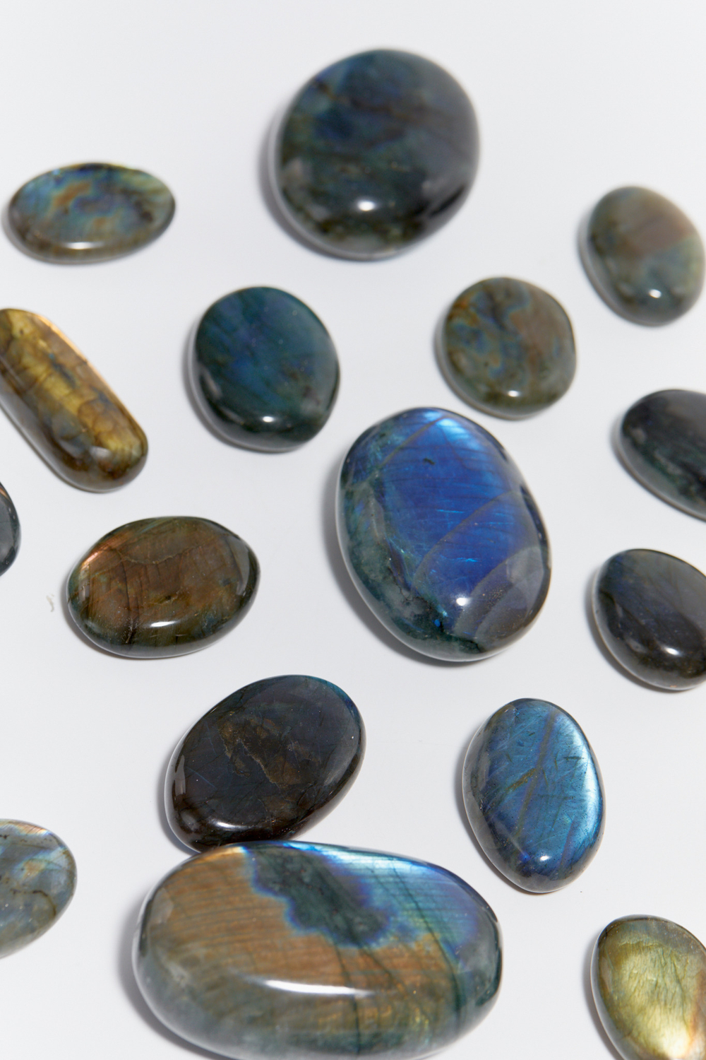 Лабрадор палмстоун S