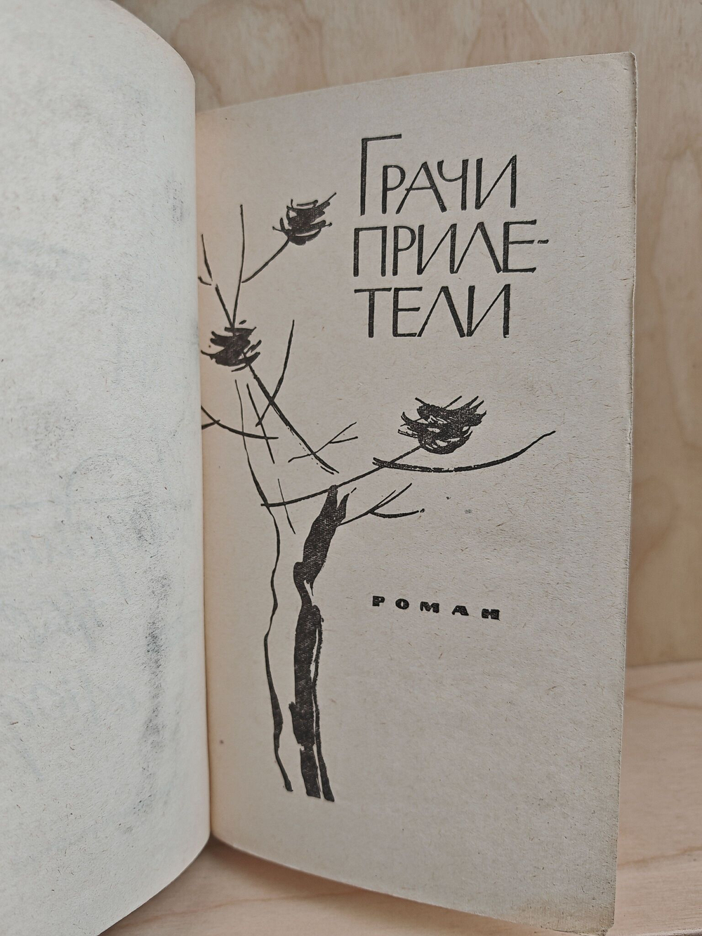 Рассудите нас люди. Грачи прилетели