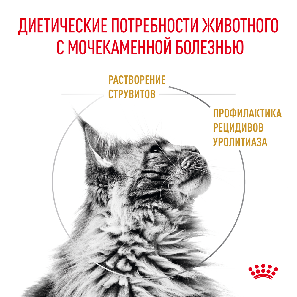 Сухой корм Royal Canin Urinary S/O для взрослых кошек при мочекаменной болезни