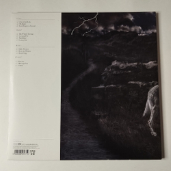 Винтажная виниловая пластинка LP Steve Hackett Wolflight (EU 2015)