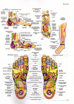 Журнал "Славянка" №6 ноябрь-декабрь 2023 г.