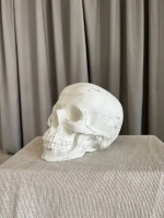 Статуэтка - Скульптура Череп для интерьера и декора