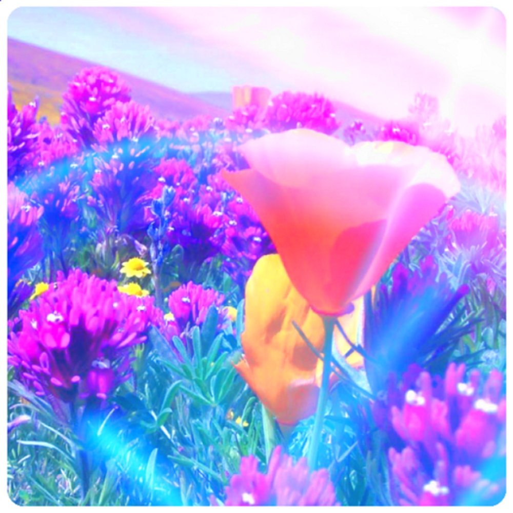 Заказ Новиковой Ольги